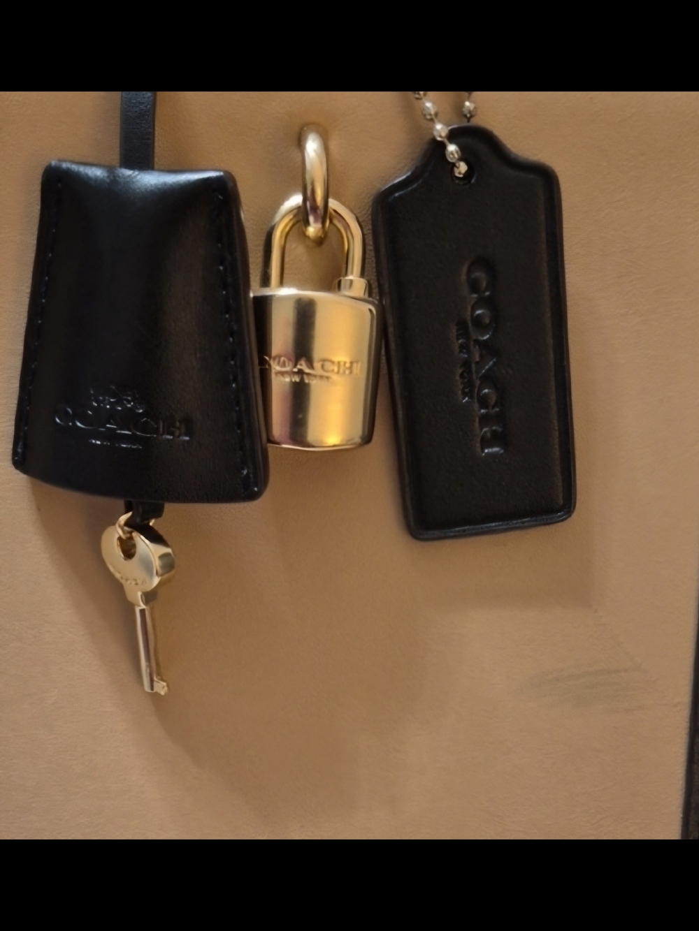 Coach Zoe In Color Block - Picture 2 of 3